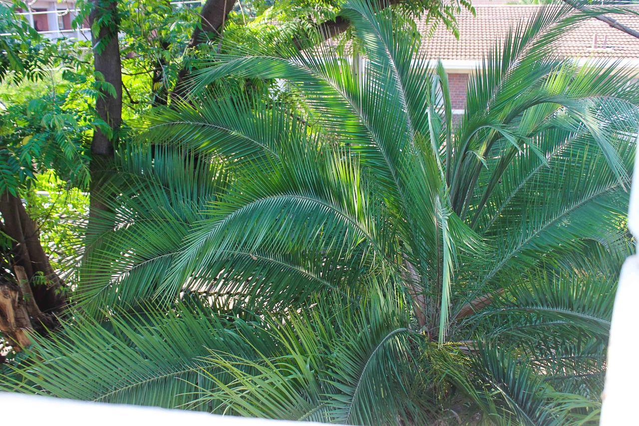 Lolo'S 1Bed Apt-Best Location-2Balconies Harare Ngoại thất bức ảnh